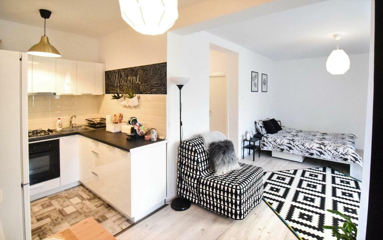 Apartament Frunzisului 110 Kluż-Napoka Zewnętrze zdjęcie